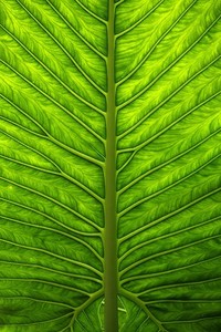 开云体育入口平台-法国联赛球队士气高昂备战决赛