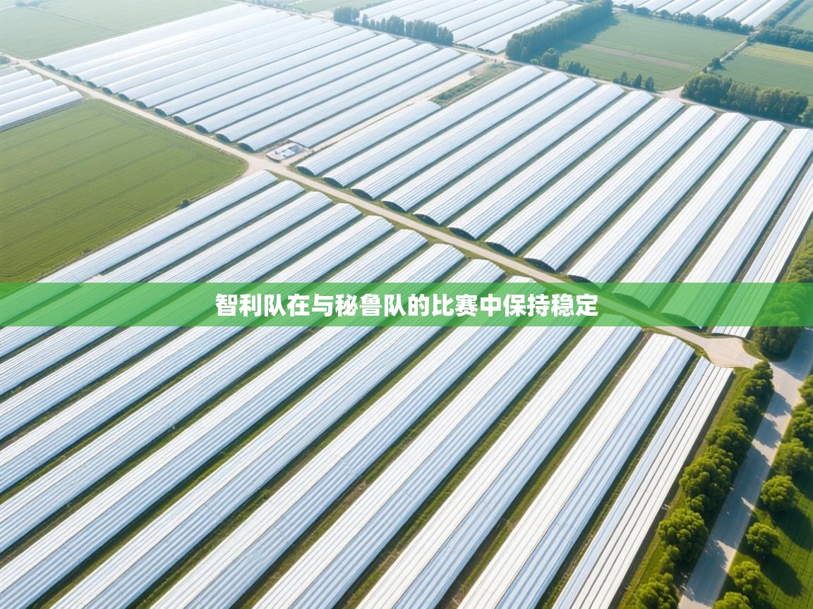 开云体育热门赛事直达-智利队在与秘鲁队的比赛中保持稳定